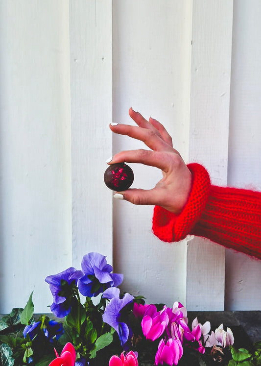 Chocolate Coated Protein Balls